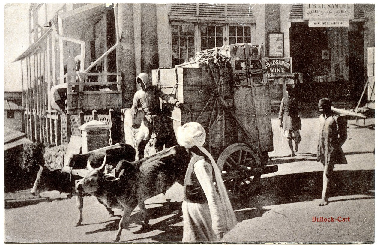Bullock-Cart, c.1900-20 by Moorli Dhur and Sons
