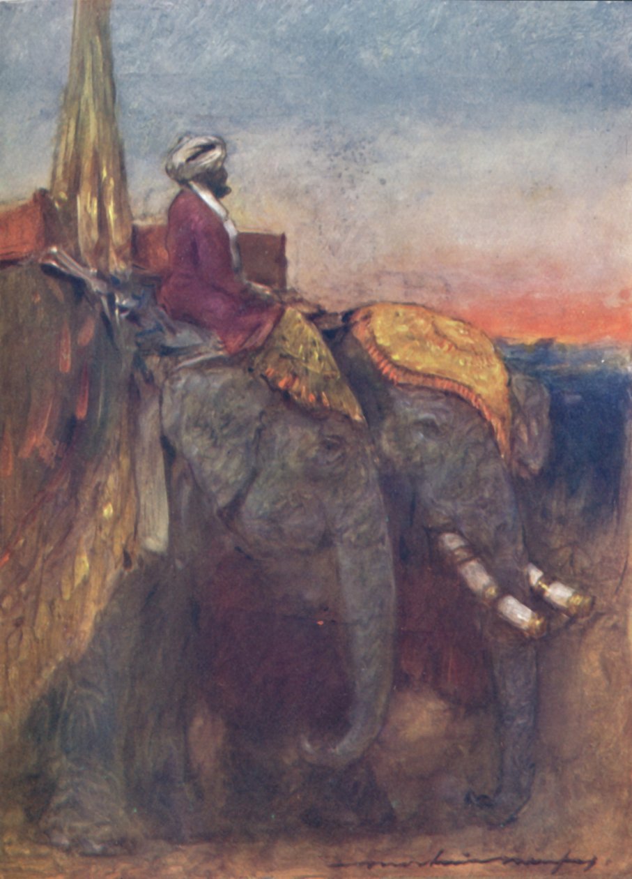 Jaipur Elephants by Mortimer L Menpes