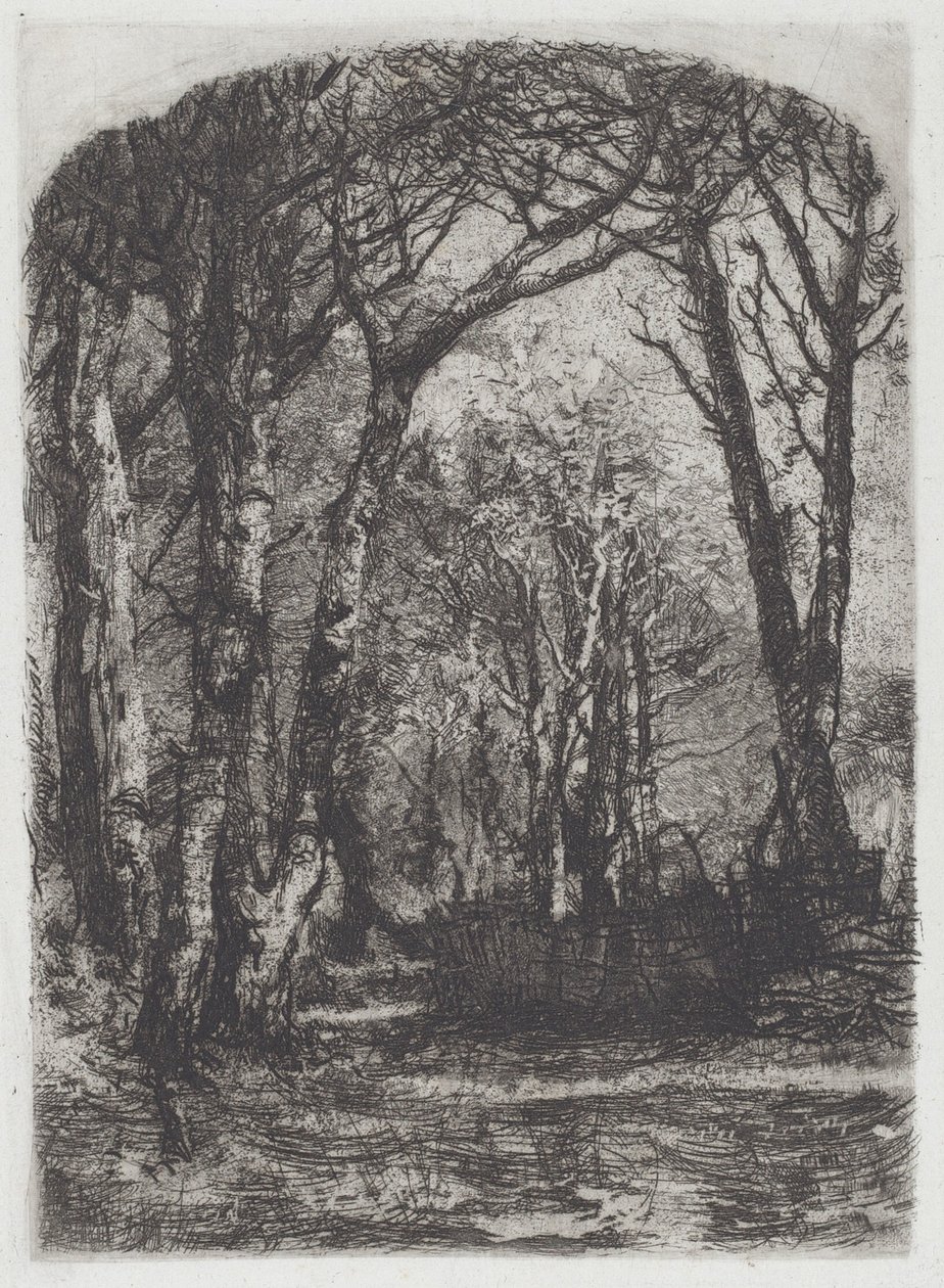 Woods by Mose Bianchi