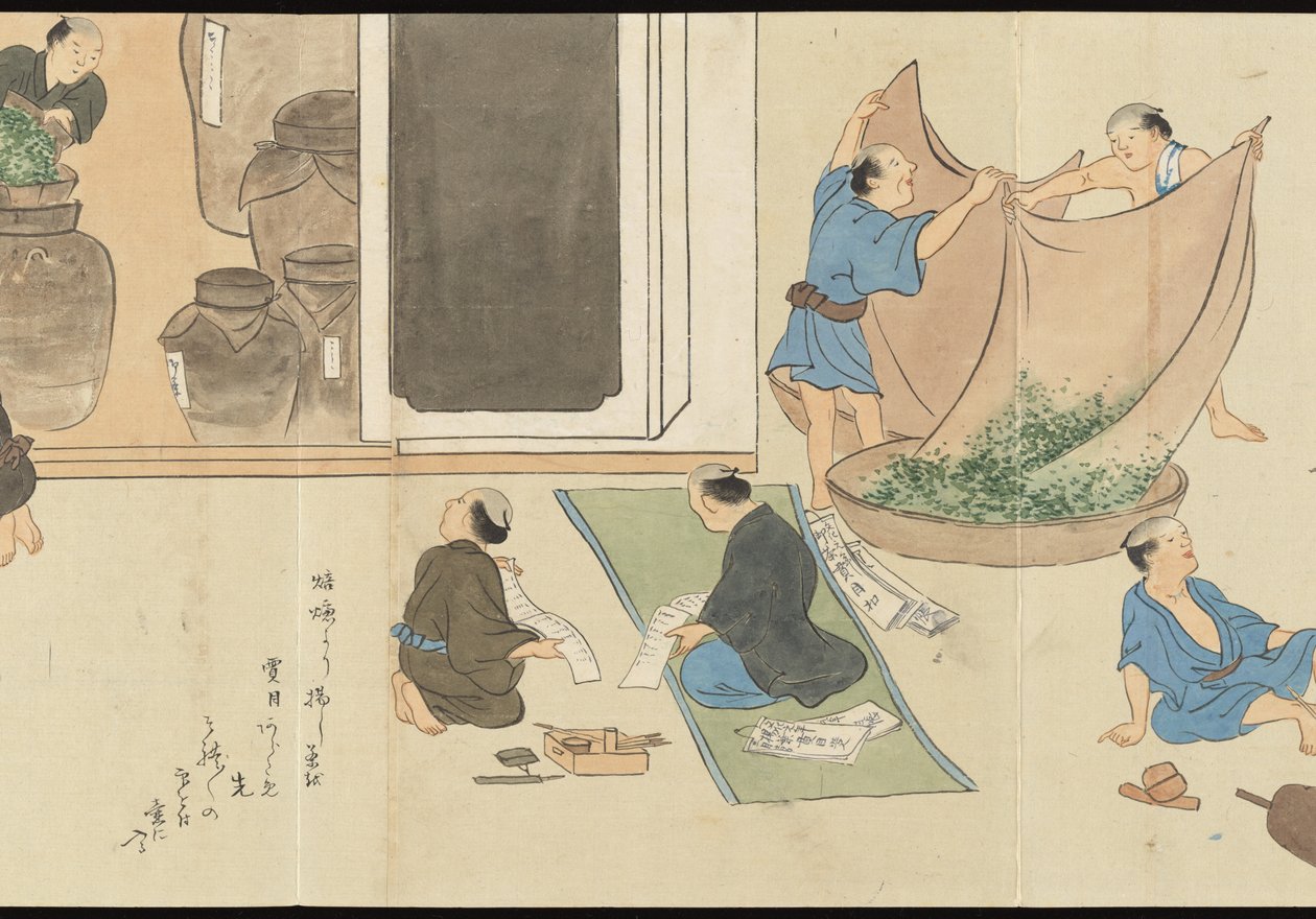 Illustrations of Uji Tea Production by Motonari Sait?