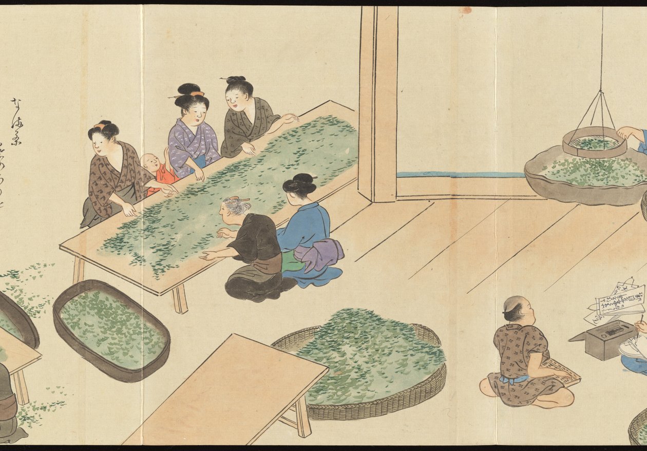 Illustrations of Uji Tea Production by Motonari Sait?