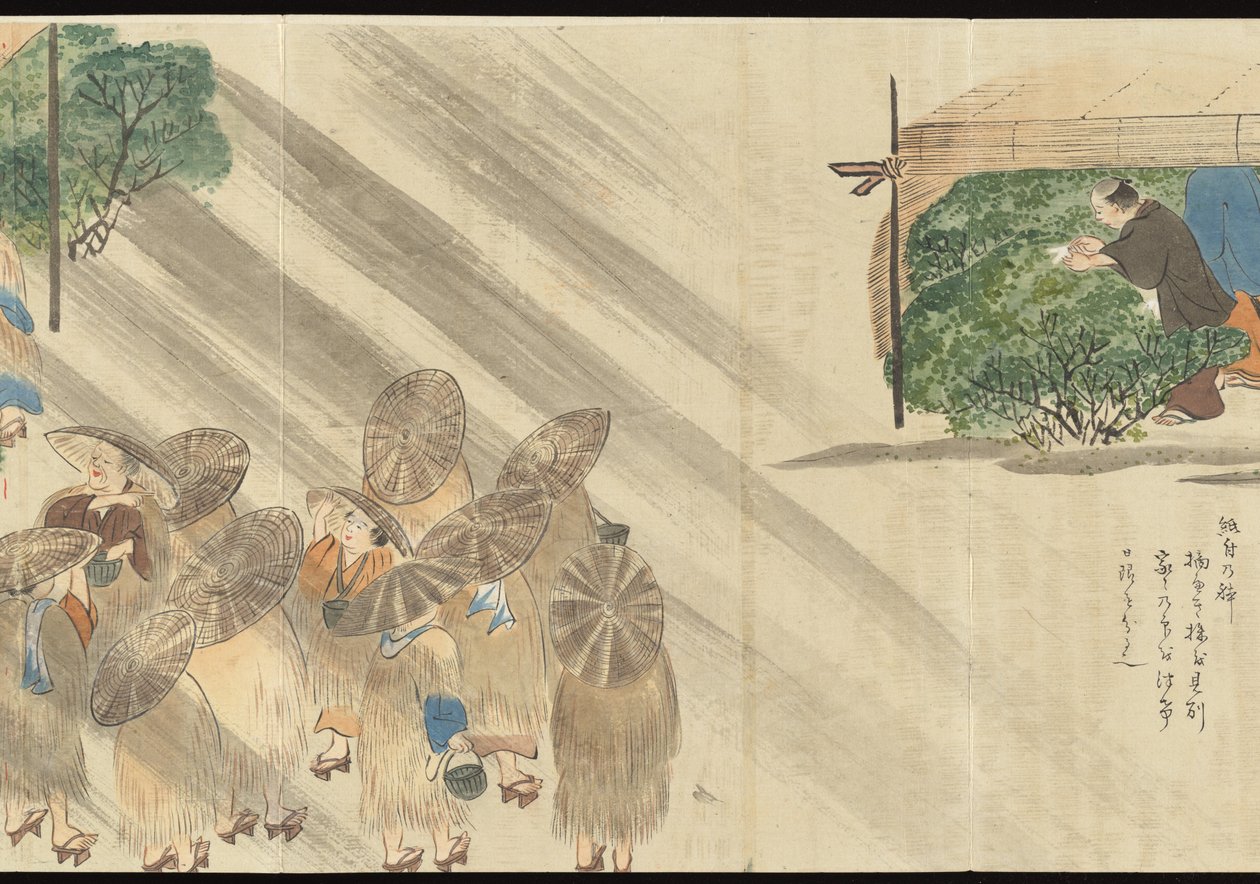 Illustrations of Uji Tea Production by Motonari Sait?