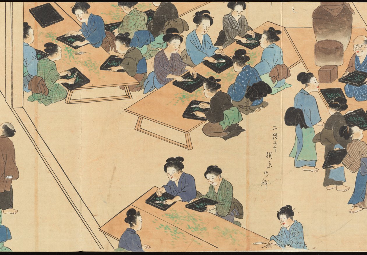 Illustrations of Uji Tea Production by Motonari Sait?