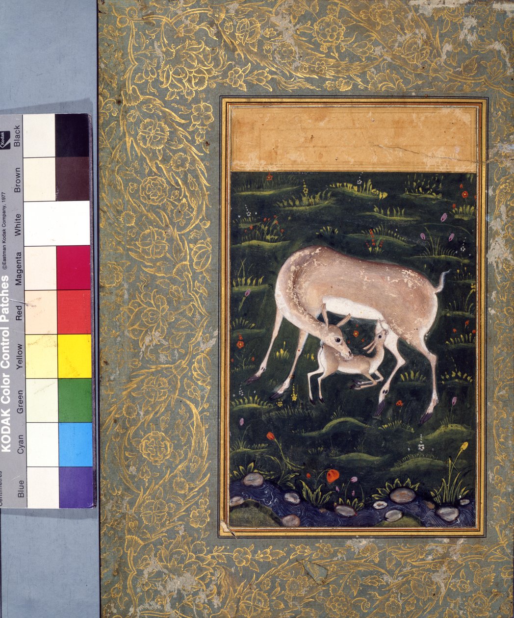 A doe nursing her fawn, c.1560 by Mughal School