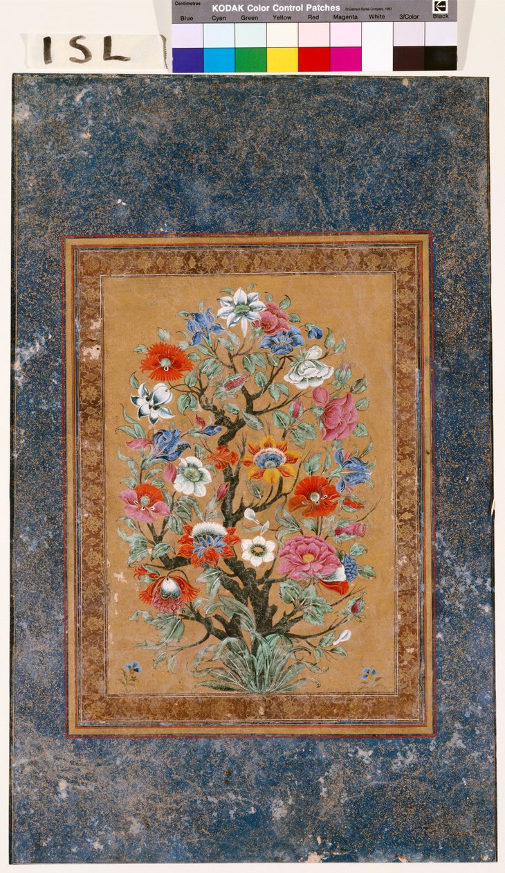 Mythical Plant by Mughal School