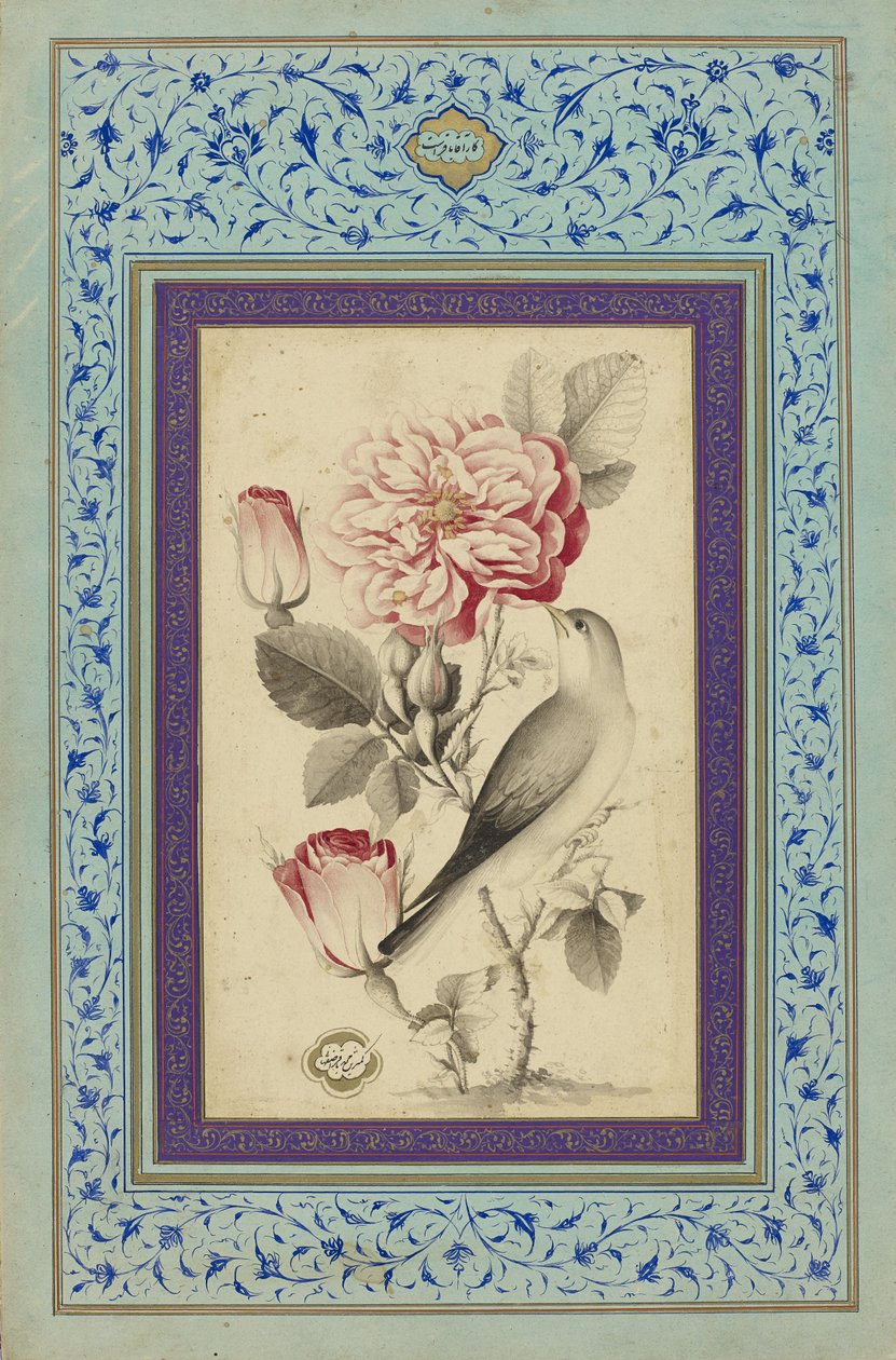 Roses and Nightingale, late 18th century by Muhammad Baqir