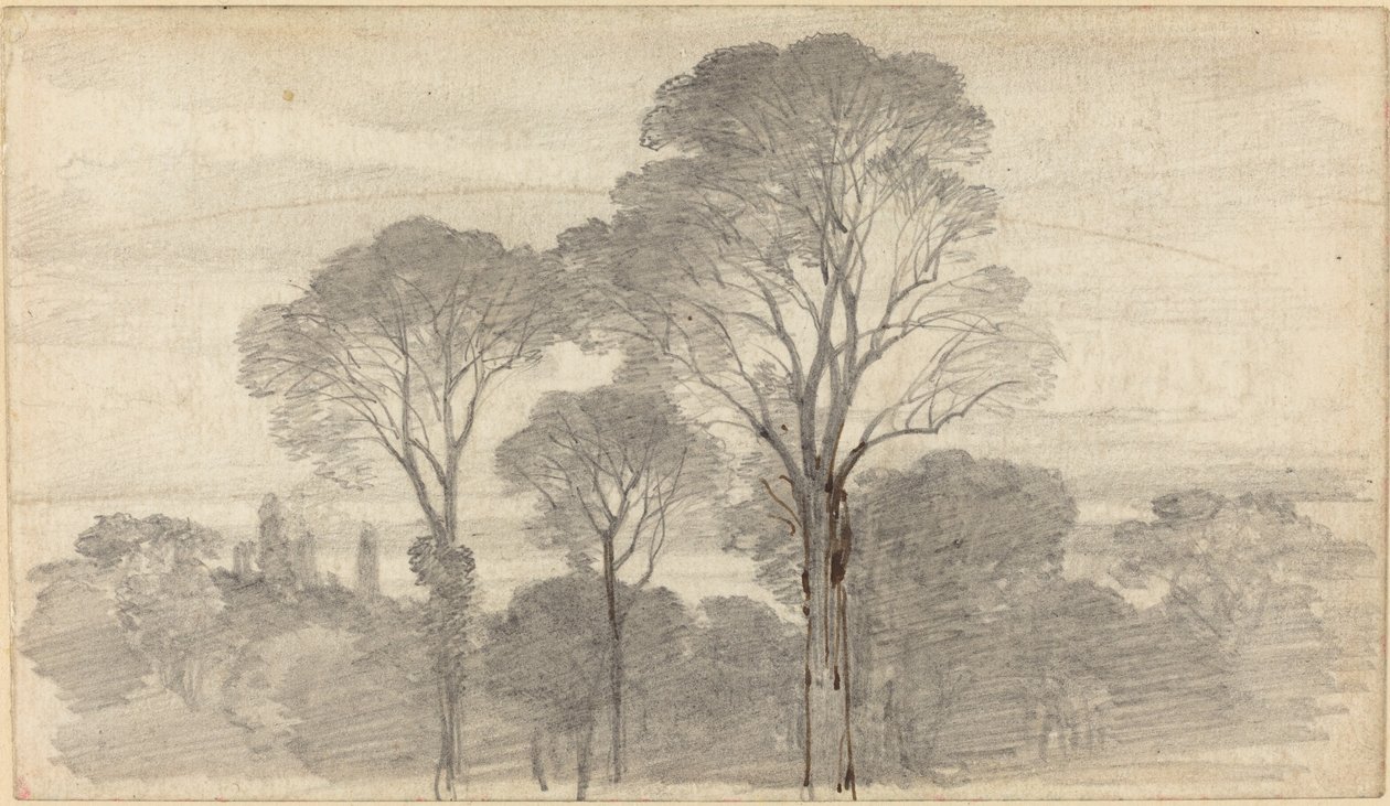 An Evening Landscape with Tall Trees by Myles Birket Foster