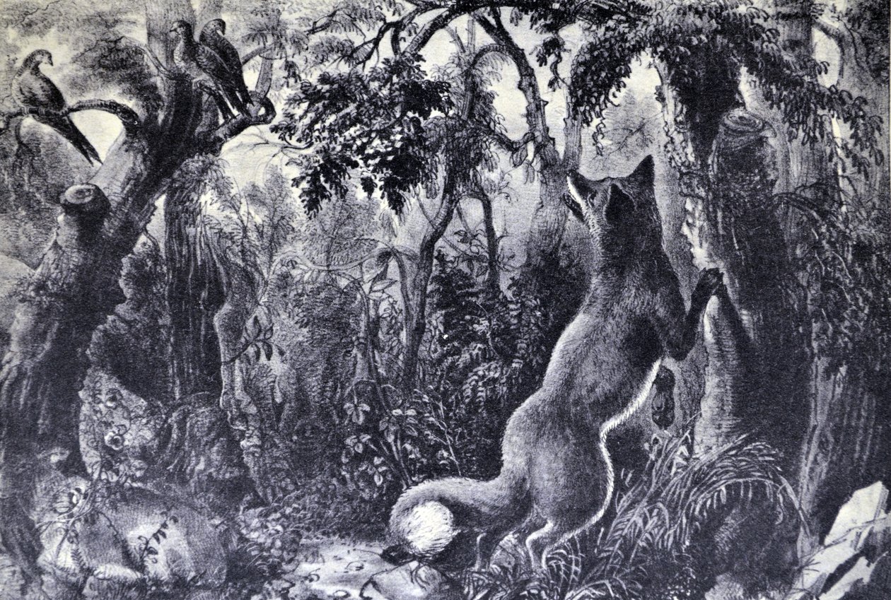 The Puzzled Fox by N. and Ives, J.M. Currier