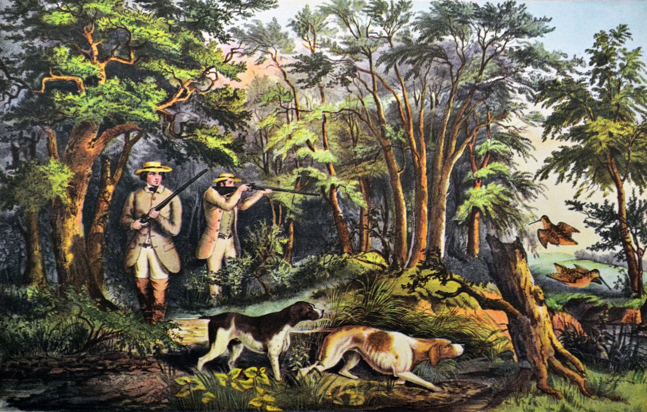 Woodcock Shooting by N. and Ives, J.M. Currier