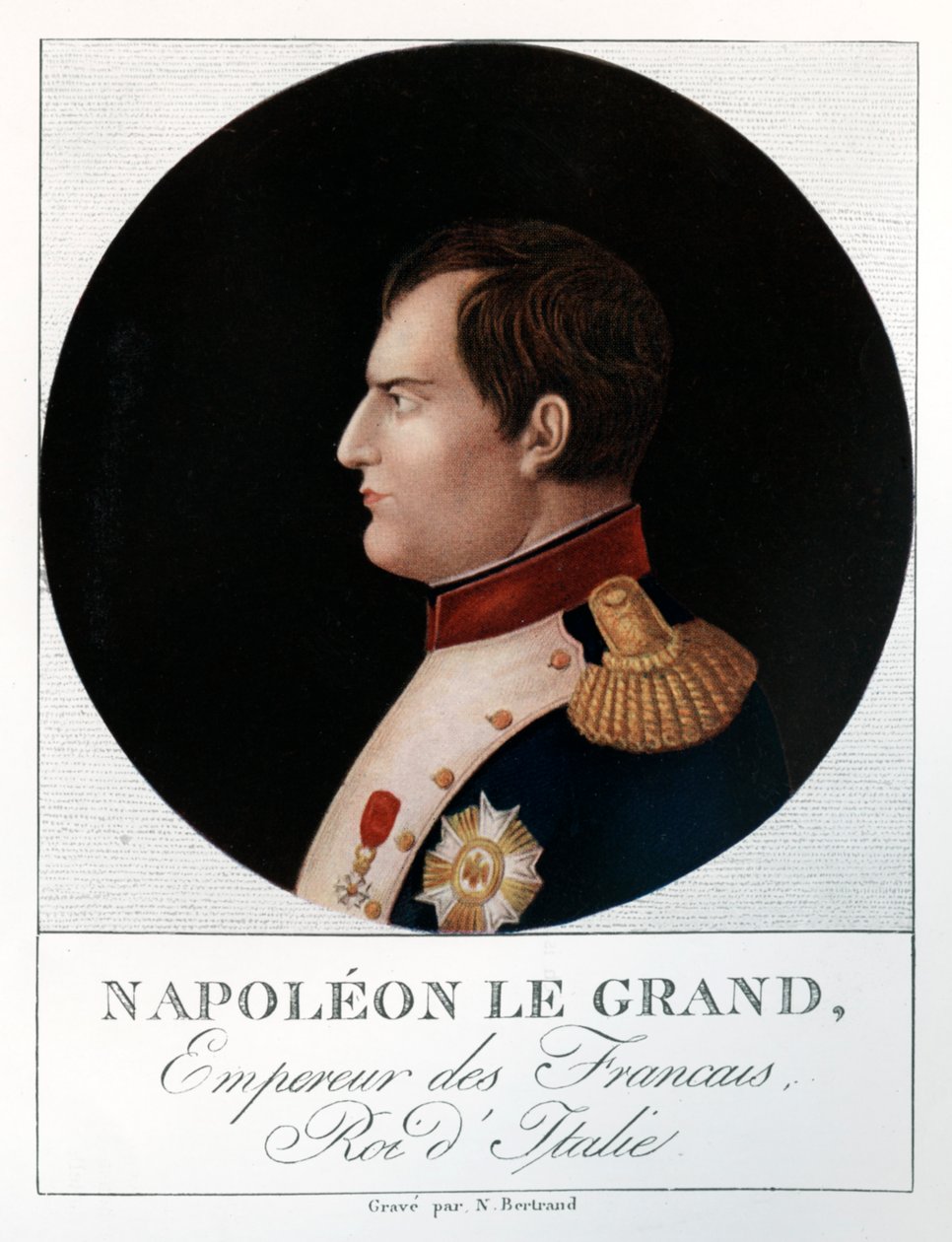 Emperor Napoleon Bonaparte by N. Bertrand