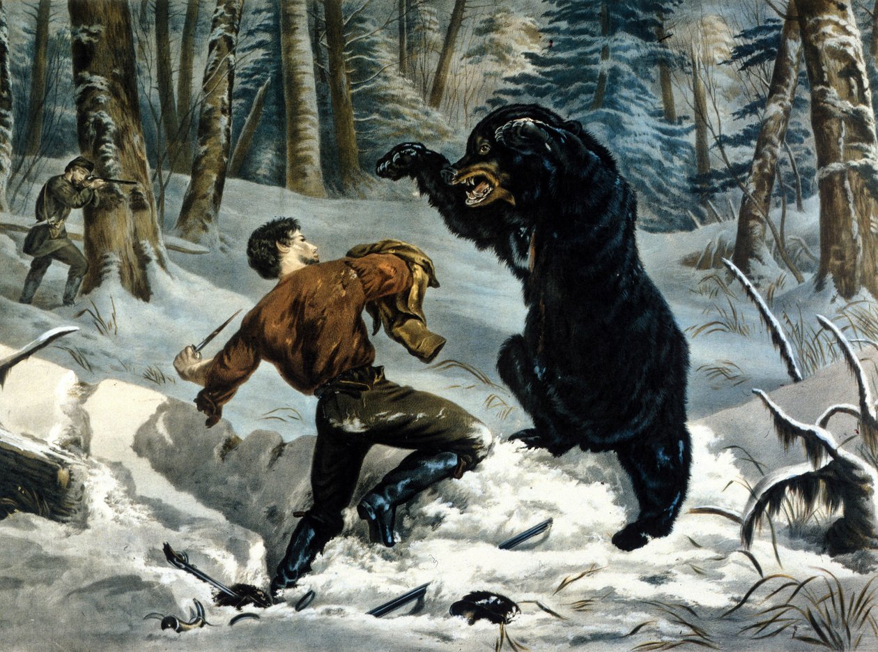 The Life of Trappers in Canada: A Hunter is attacked by a Grizzly Bear. Illustration by Yves and Currier. by Currier and Ives