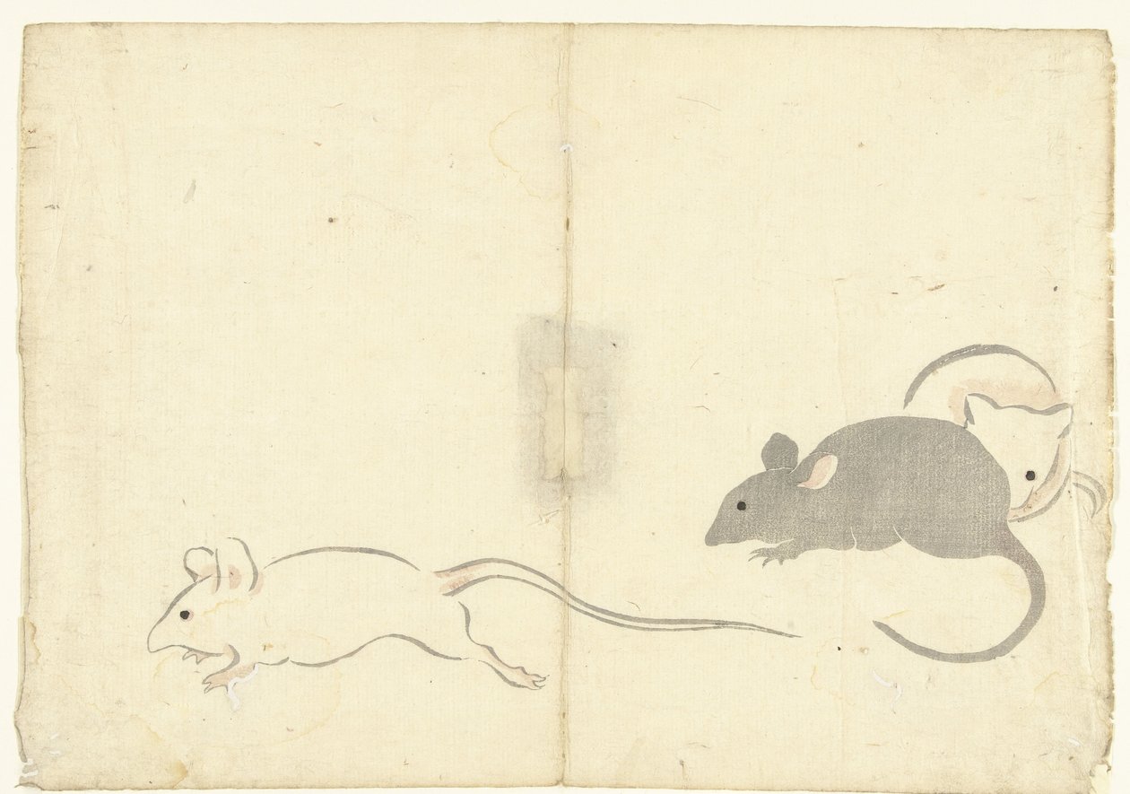 Three Rats (series title: Print Album of Korin) by Nakamura Hochu