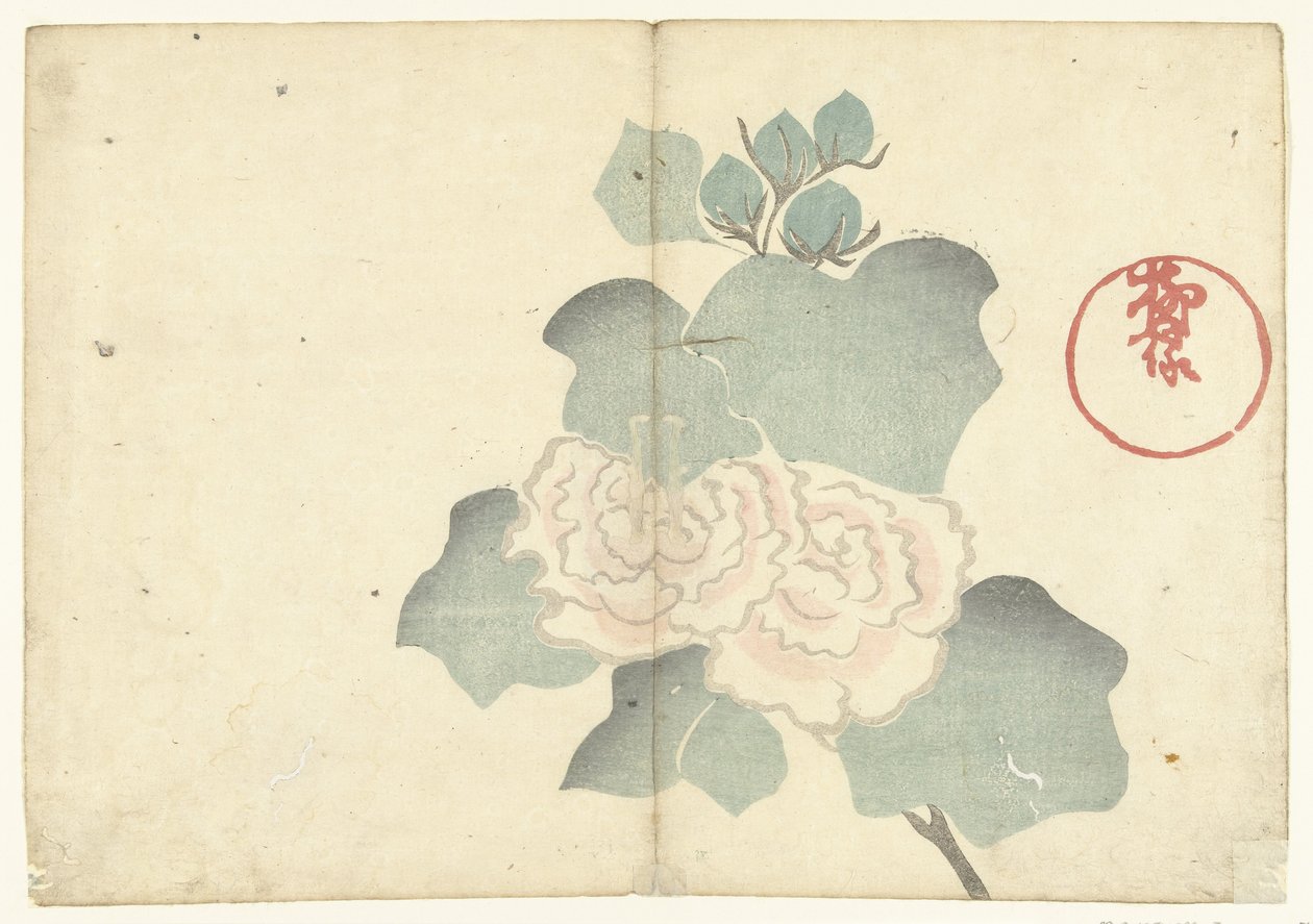 Peonies by Nakamura Hochu