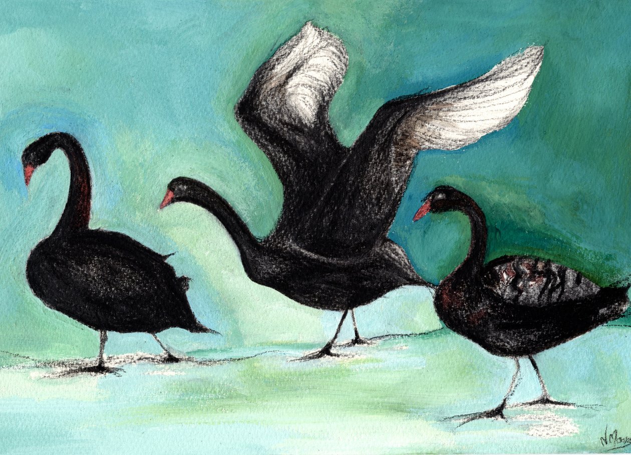 A Ballet of Black Swans, 2013 by Nancy Moniz Charalambous