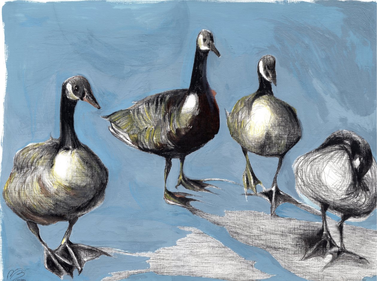 Friendly Canada Geese, 2012 by Nancy Moniz Charalambous