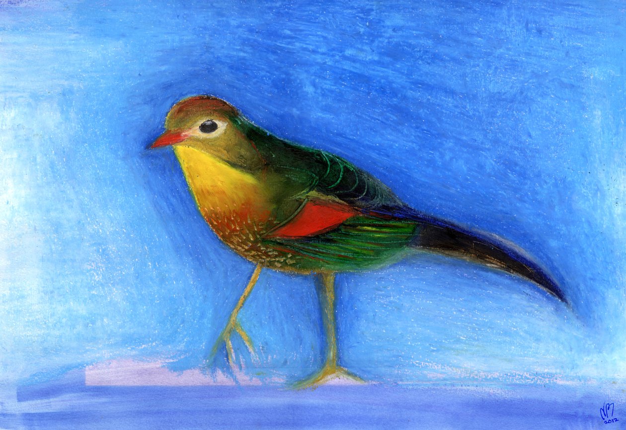 Nightingale Light, 2012 by Nancy Moniz Charalambous