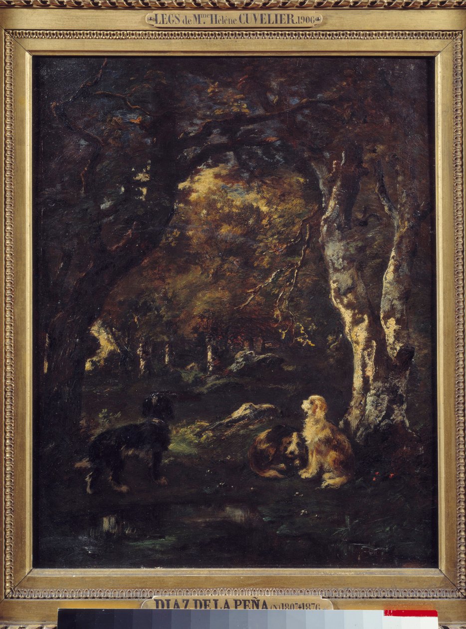 Dogs in the forest, Painting by Narcissus Diaz de la Pena by Narcisse Virgile Diaz de la Peña