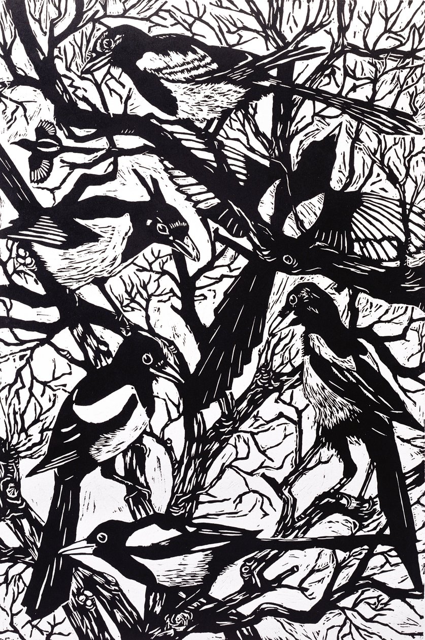 Magpies, 1997 by Nat Morley
