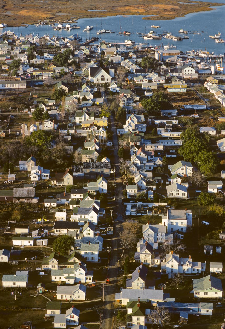 Aerial photograph of houses along King Street, the settlement spine of Tangier Island by Nathan Benn