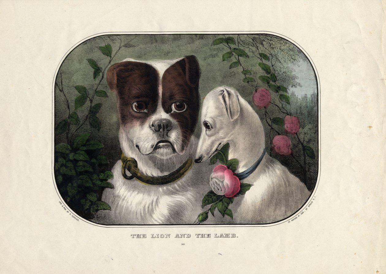 The lion and the lamb, published by N. Currier, New York, c.1838-56 by Nathaniel Currier