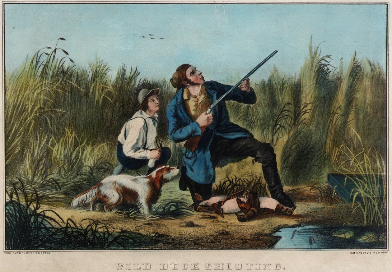 Wild Duck Shooting by Nathaniel Currier