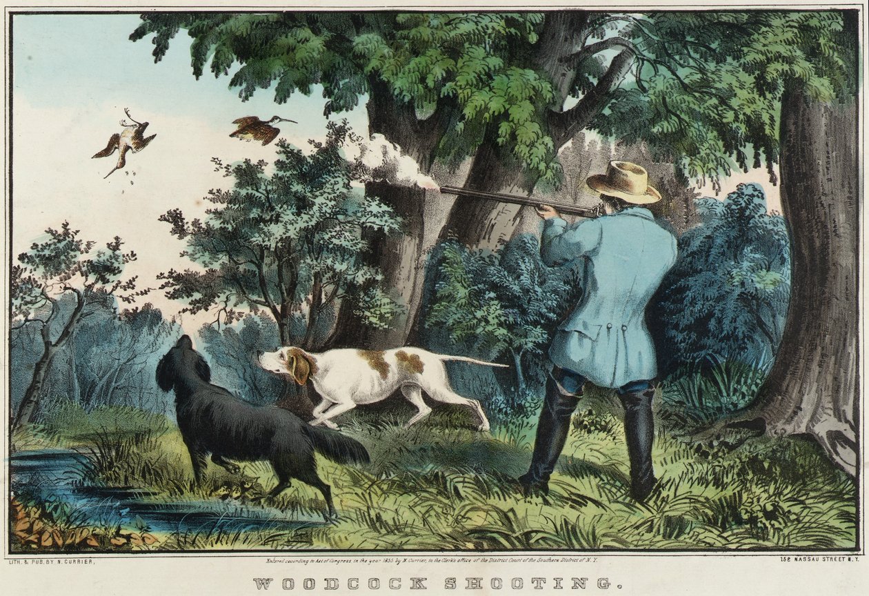 Woodcock Shooting by Nathaniel Currier