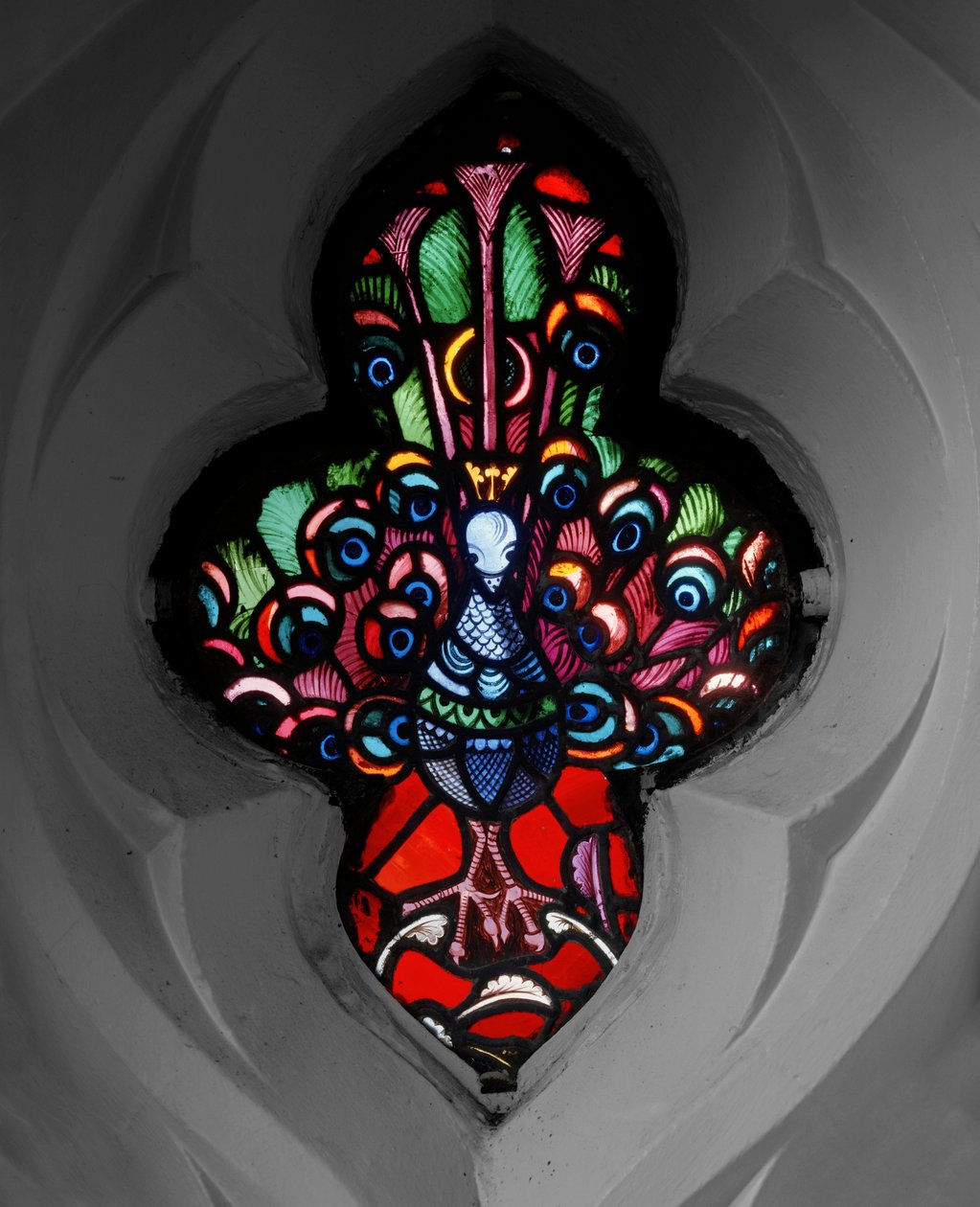 Peacock by Nathaniel Westlake
