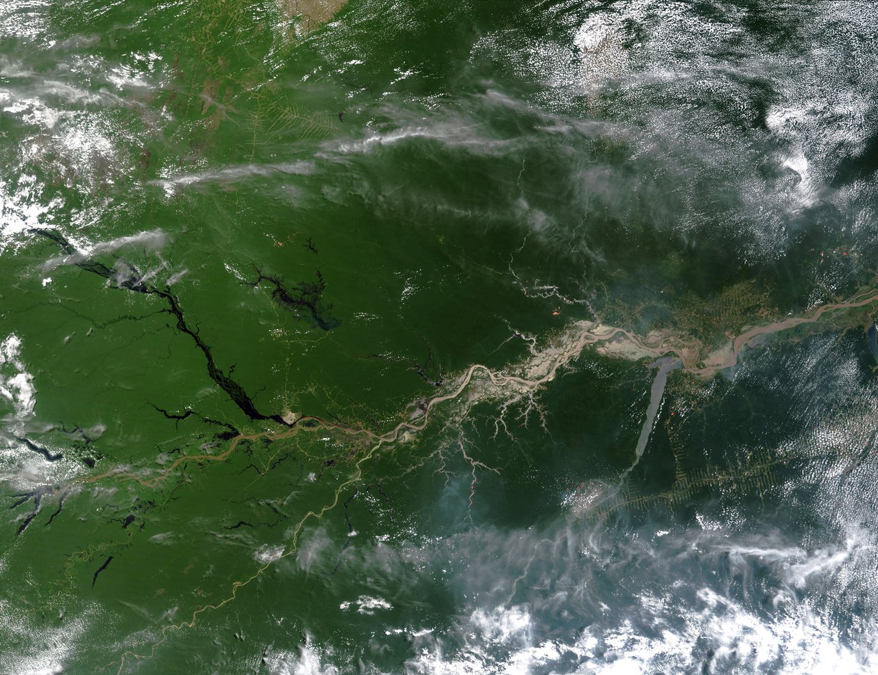 True-color satellite image of the River Amazon, down which flows one fifth of river water entering Earth