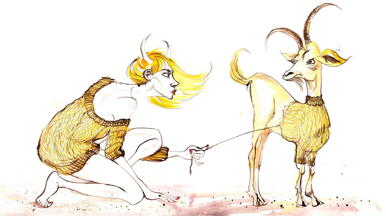 Signs of the Zodiac: Capricorn pullover from a series of fashion caricatures by Neale Osborne