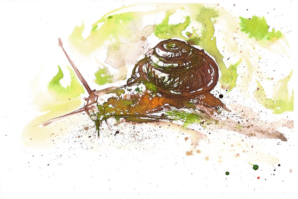 Snail, 2025 by Neale Osborne