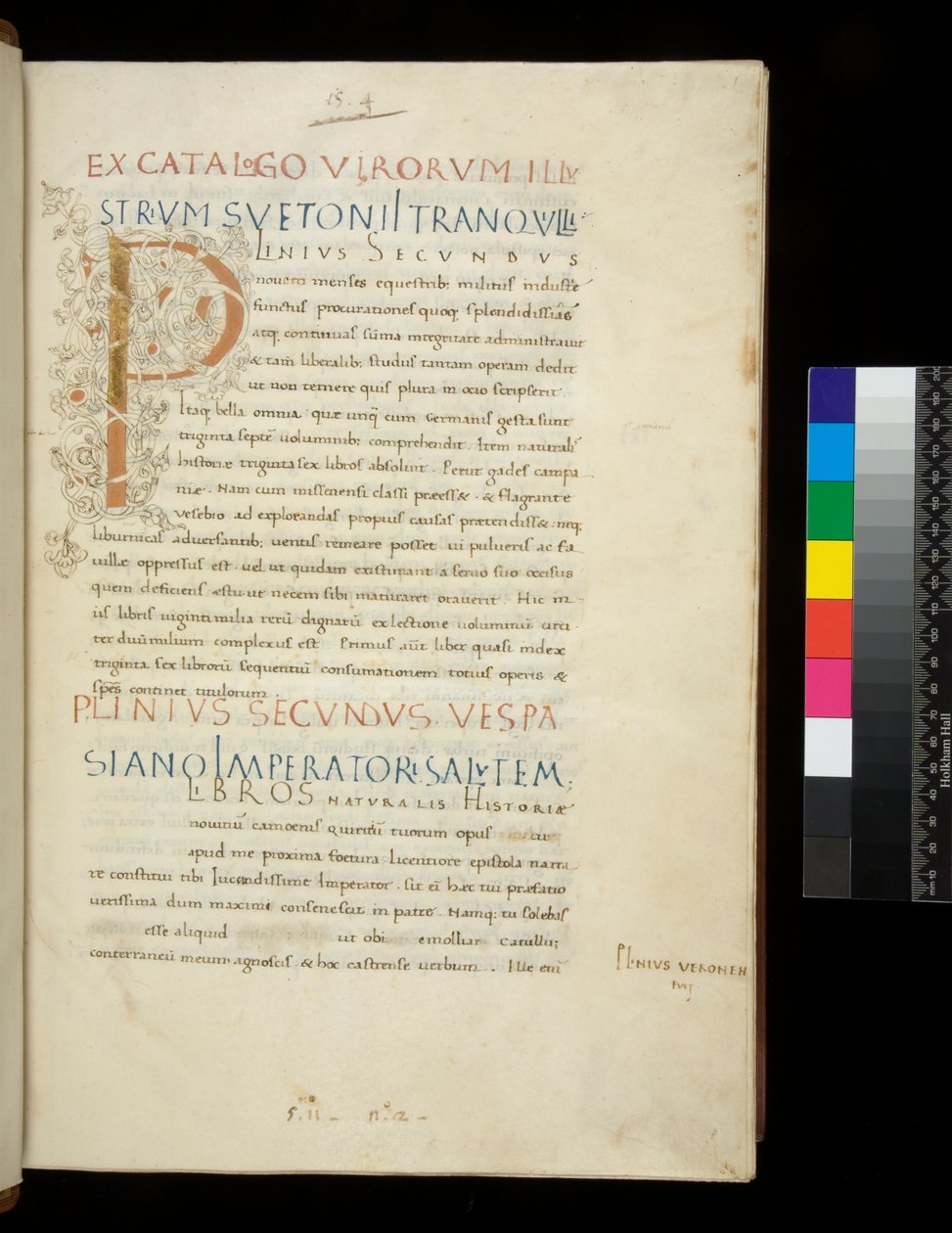 Ms 394.1. Pliny the Elder, Historia Naturalis, f.1r. Illuminated Initial [P] with White Vine-Stem Decoration (unfinished), Naples, mid 15th century, c.1442 by Neapolitan School