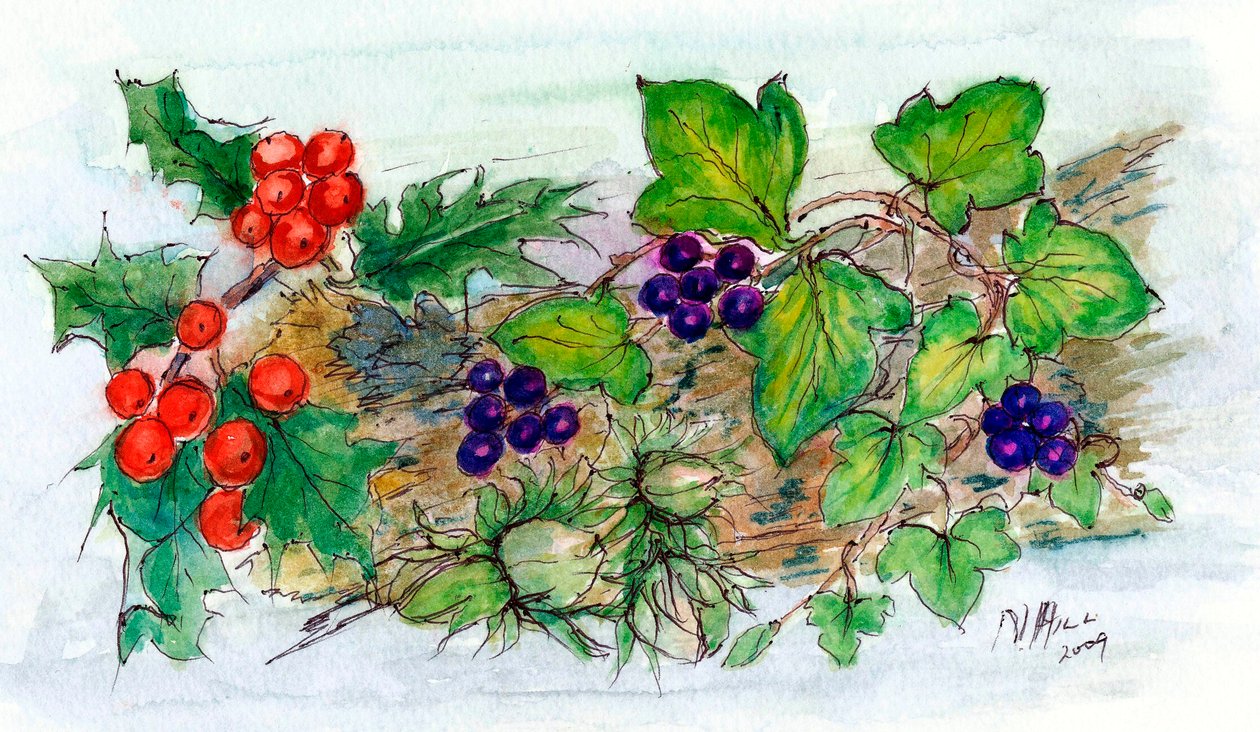 Log of Ivy, Holly and Hazelnuts by Nell Hill