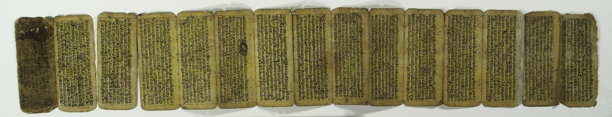 A Concertina Manuscript by Nepalese School
