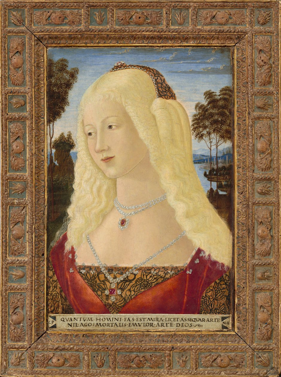 Portrait of a Lady by Neroccio de