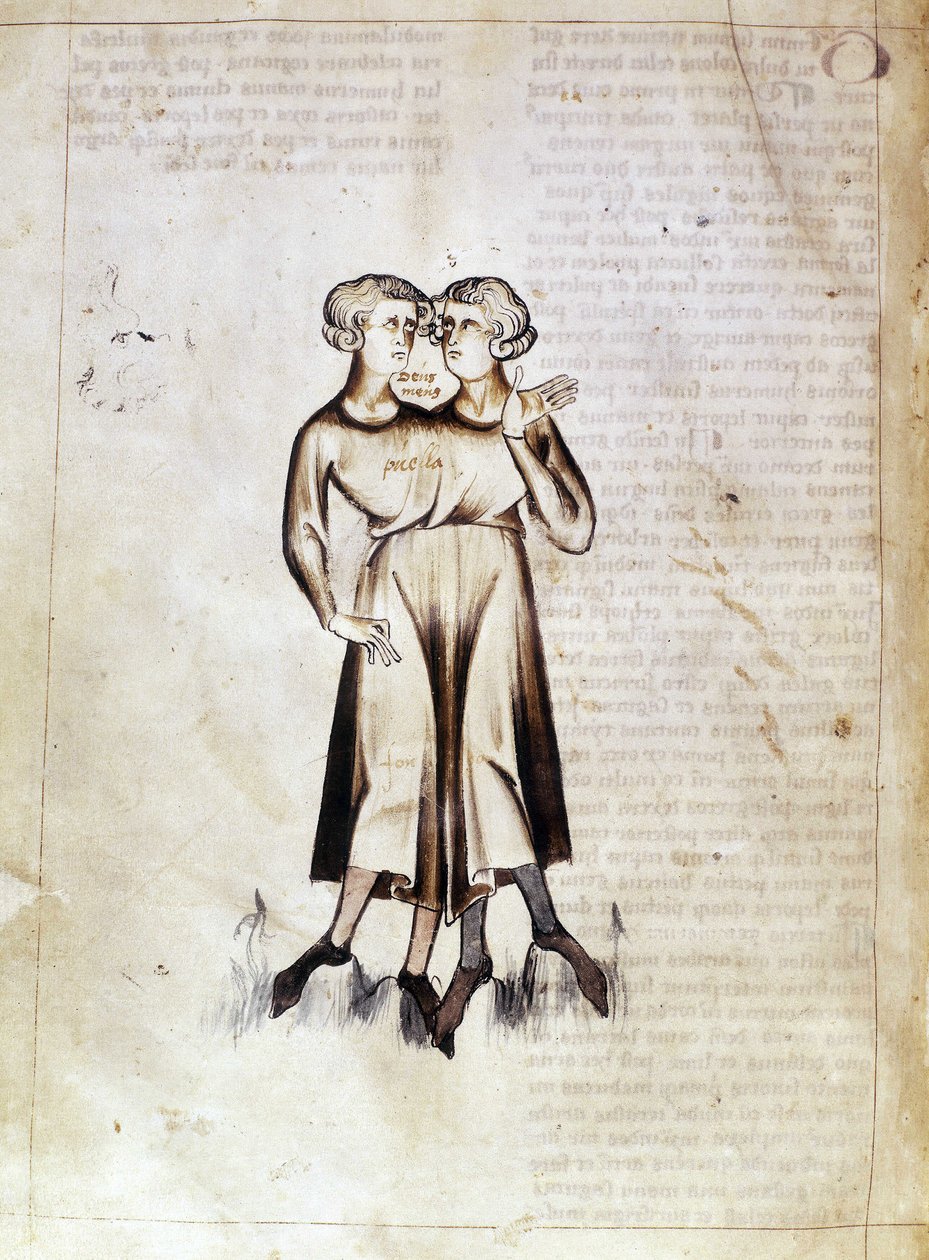 Drawing of Gemini, from a translation of a Persian astrological treatise by Jafar ibn Muhammad by Netherlandish School