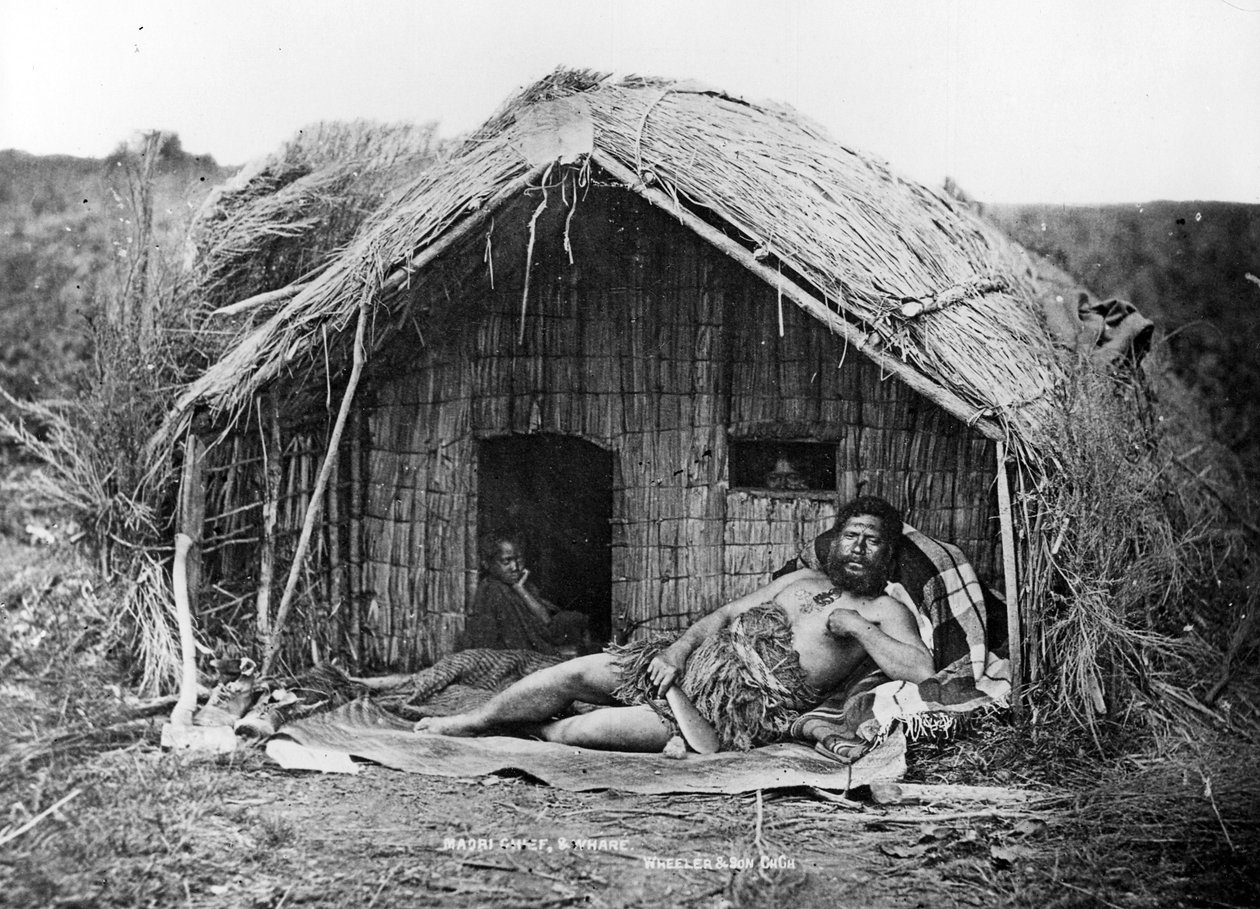 Maori Chief and Whare, c.1863-80 by New Zealand Photographer