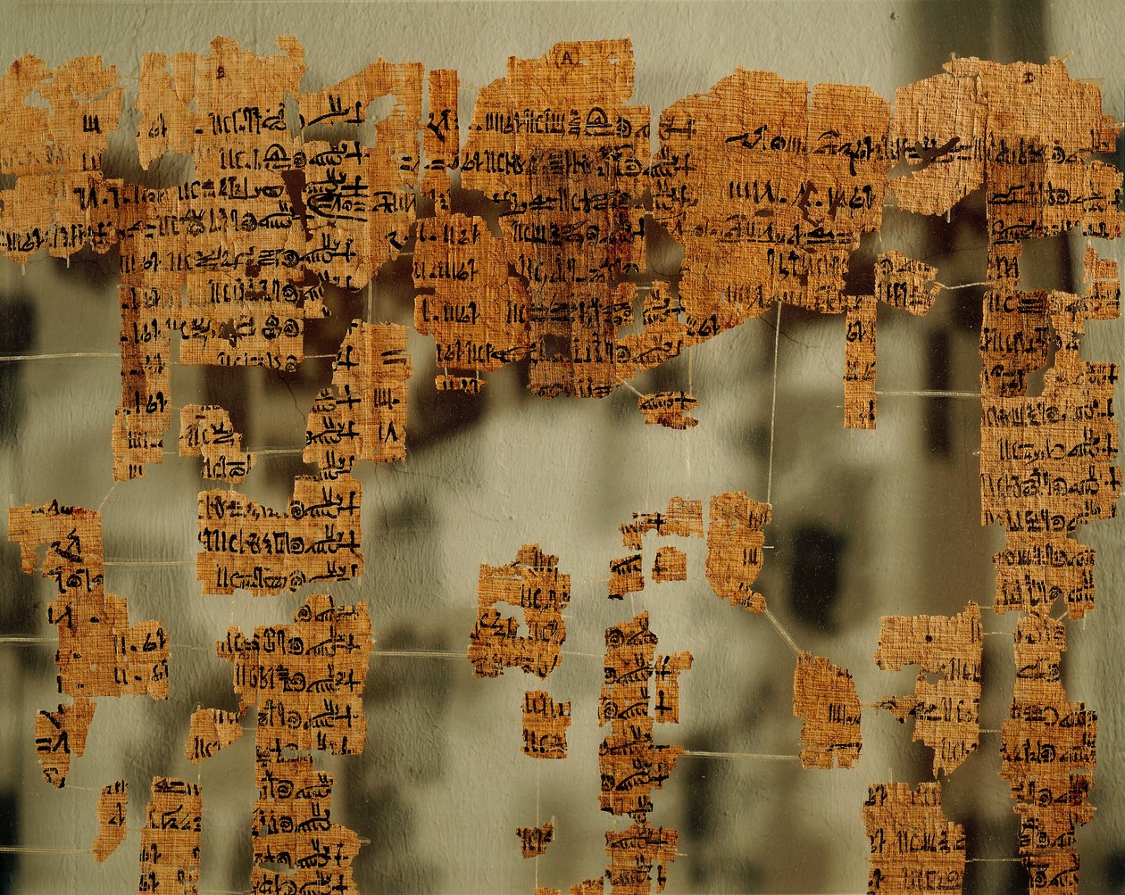 Fragments of the Papyrus of the King by New Kingdom Egyptian