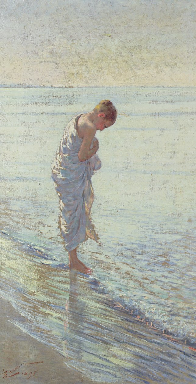 A Shell, 1895 by Niccolo Cannicci