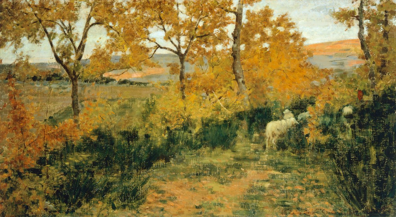 Golden Forest in Montemiccioli by Niccolo Cannicci
