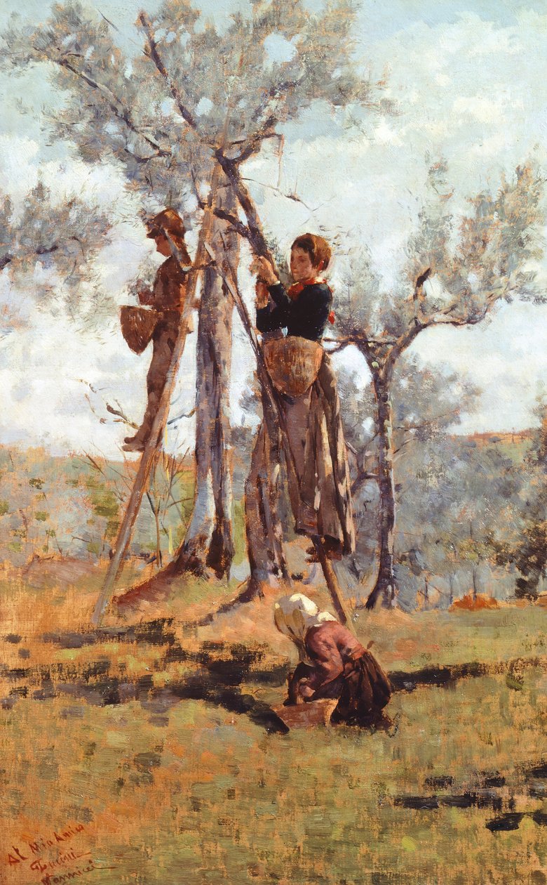 The Olive Harvest by Niccolo Cannicci