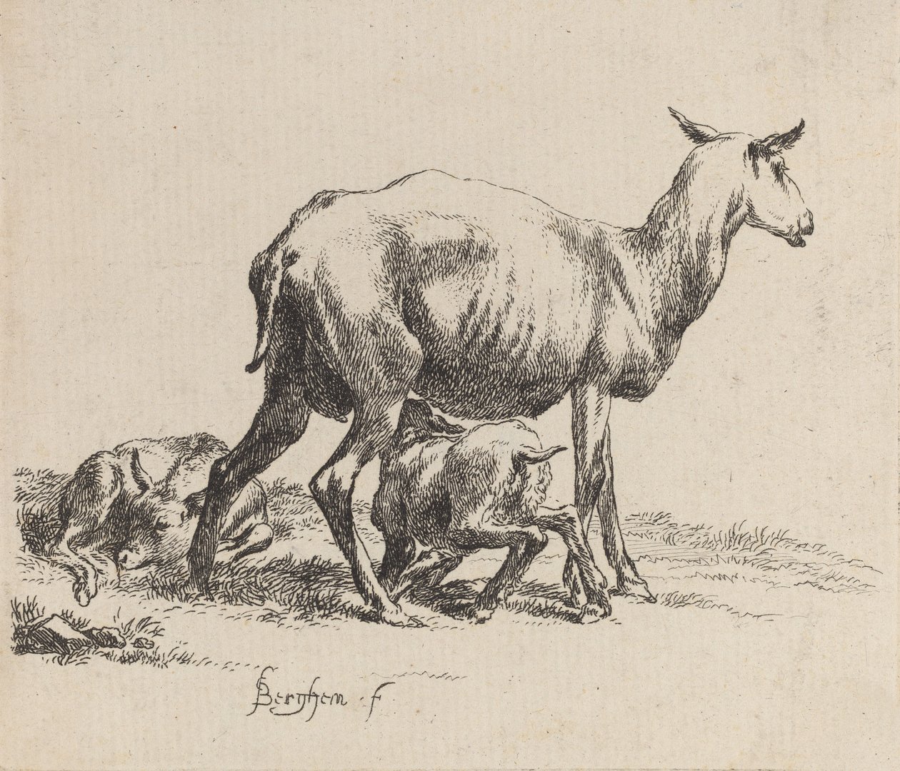 Ewe Nursing Her Lamb by Nicolaes Berchem
