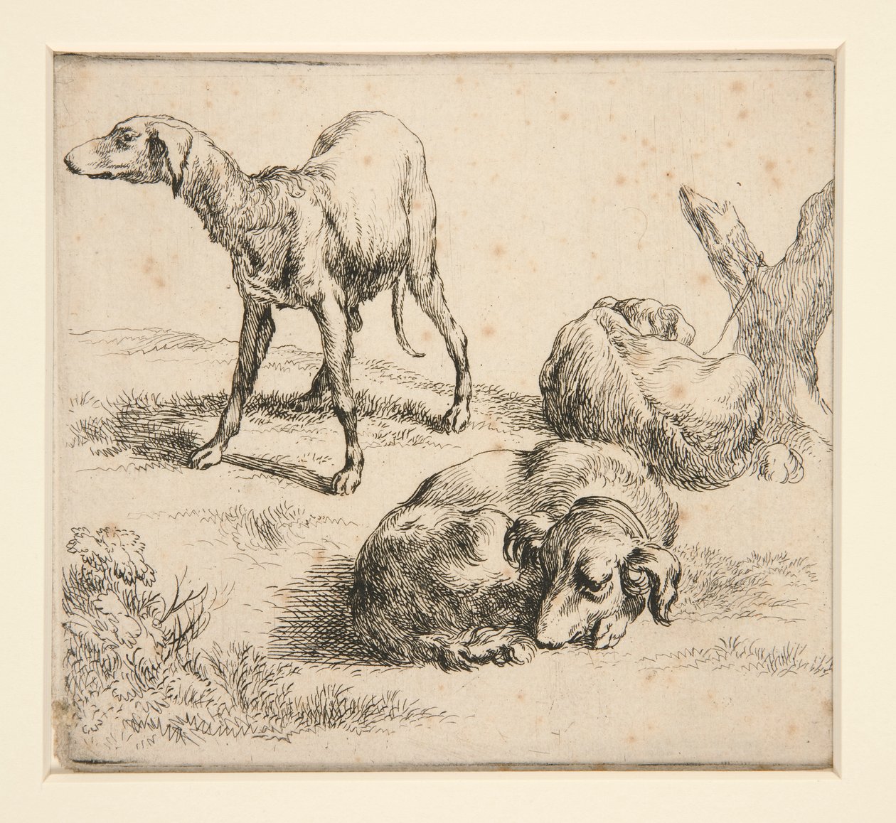 Three Hunting Dogs by Nicolaes Berchem