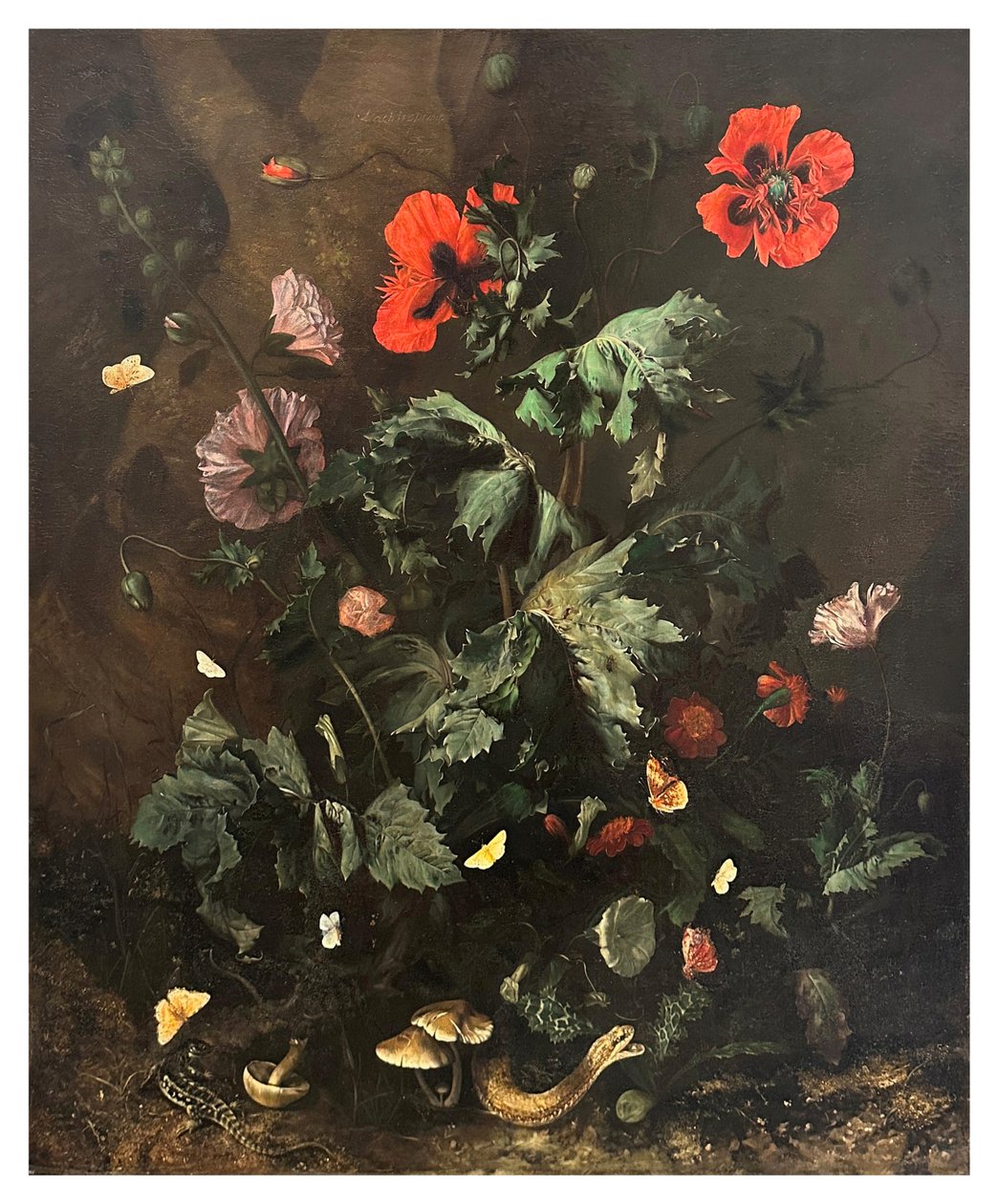 A Forest Floor with Flowers, Butterflies and Reptiles, c.1656-1700 by Nicolaes Lachtropius
