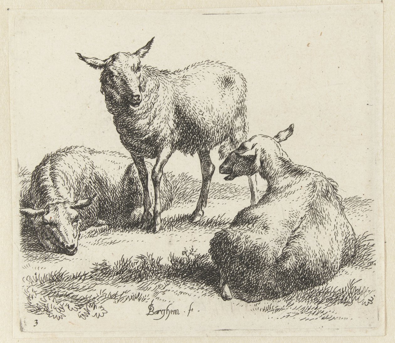 Three Sheep (Animalia ad vivum delineata et aqua forti aeri impressa Studio et Arte Nicolai Berchemi) by Nicolaes Pietersz Berchem