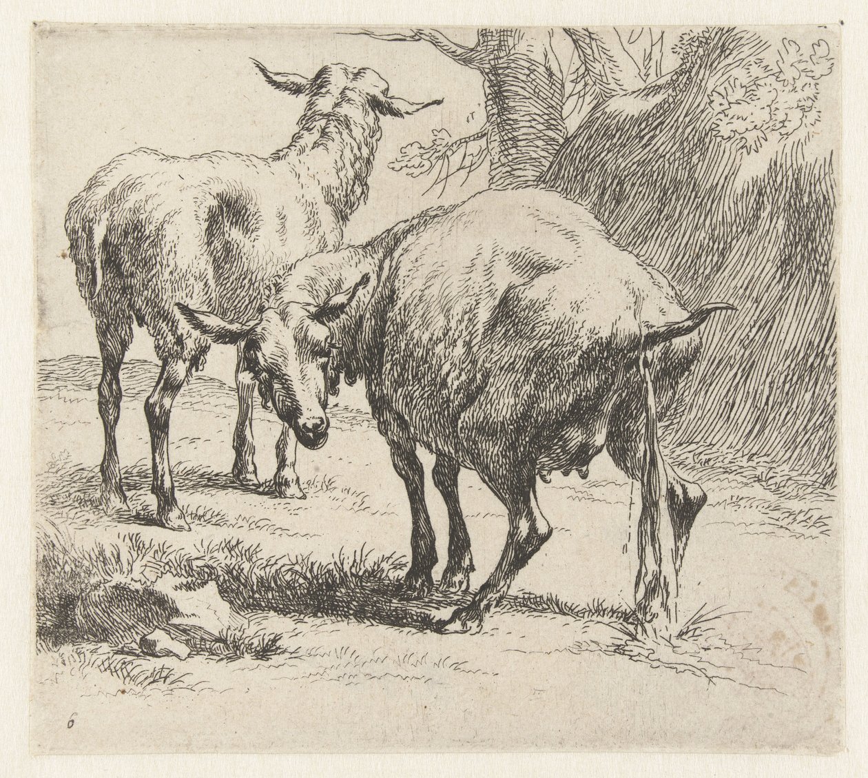 Pissing Ewe and a Sheep (Sheep) by Nicolaes Pietersz Berchem