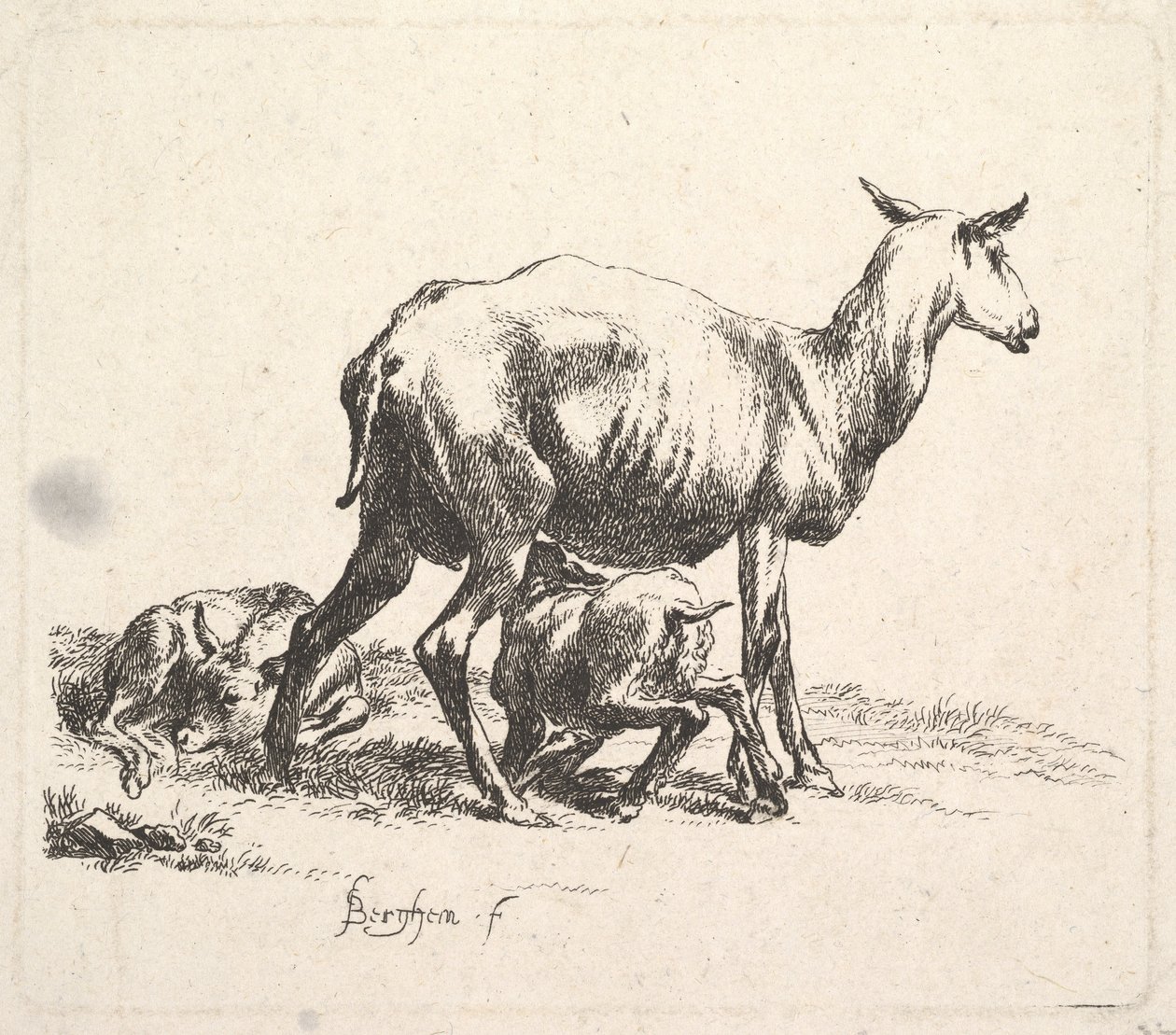 Sheep with Lamb Nursing by Nicolaes Pietersz. Berchem