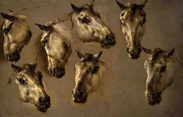 Sketches of Horses