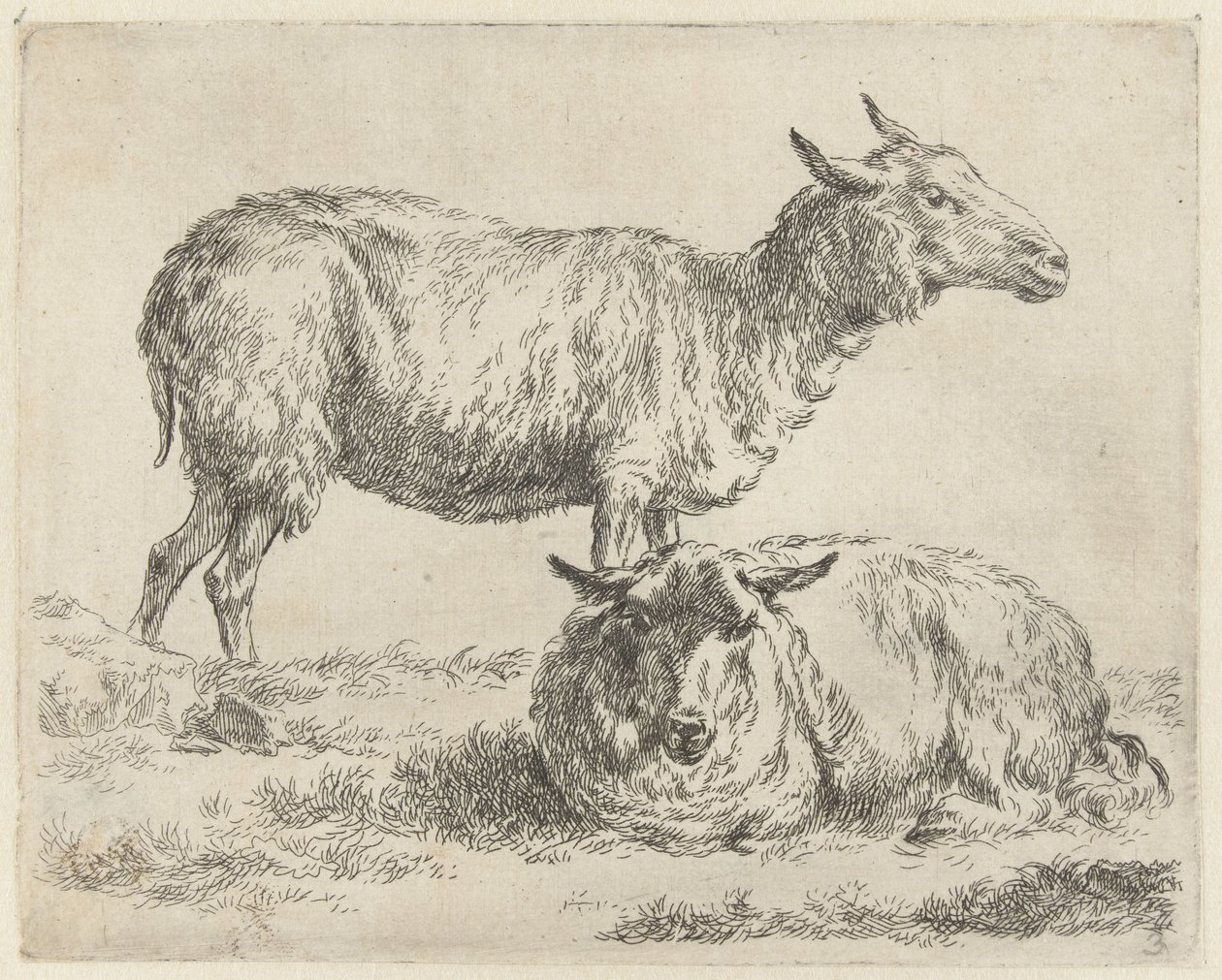 Standing and Lying Sheep by Nicolaes Pietersz Berchem