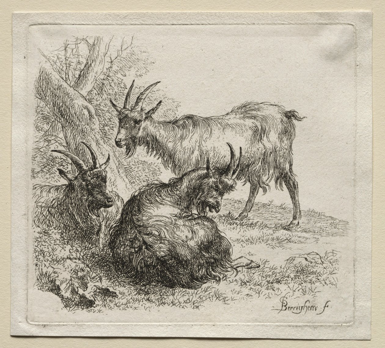 Three Goats by Nicolaes Pietersz. Berchem