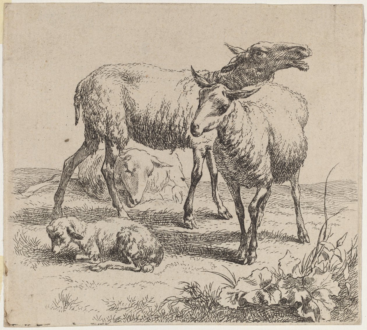 Three Sheep and a Lamb by Nicolaes Pietersz Berchem
